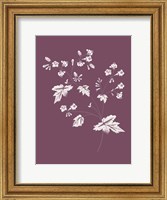 Phacelia Purple Flower Fine Art Print