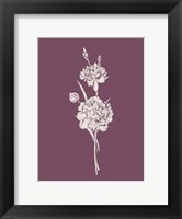 Carnation Purple Flower Fine Art Print