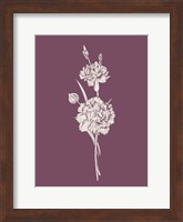 Carnation Purple Flower Fine Art Print