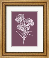 Carnations Purple Flower Fine Art Print