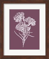 Carnations Purple Flower Fine Art Print