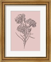 Carnations Bush Pink Flower Fine Art Print