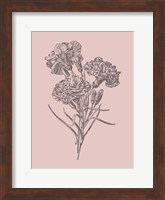 Carnations Bush Pink Flower Fine Art Print