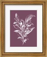 Visnea Mocanera Purple Flower Fine Art Print
