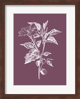 Datura Purple Flower Fine Art Print