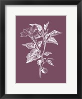 Datura Purple Flower Fine Art Print