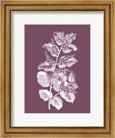 Cerasus Purple Flower Fine Art Print