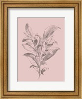 Visnea Blush Pink Flower Fine Art Print