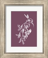 Inflorescence Purple Flower Fine Art Print