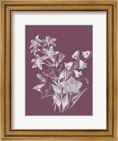 Campanulas Purple Flower Fine Art Print