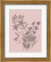 Campanulas Blush Pink Flower Fine Art Print