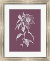 Hibiscus Roseus Purple Flower Fine Art Print