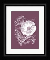 Single Dahlias Purple Flower Framed Print