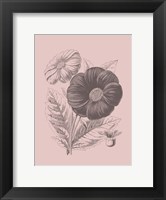 Single Dahlias Blush Pink Flower Fine Art Print