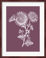 Small Anemone Purple Flower Fine Art Print
