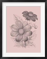 Dahlias Blush Pink Flower Fine Art Print