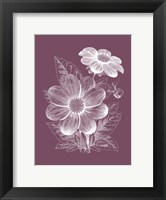 Dahlias Purple Flower Fine Art Print
