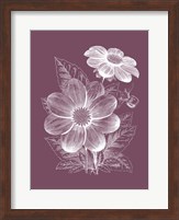 Dahlias Purple Flower Fine Art Print