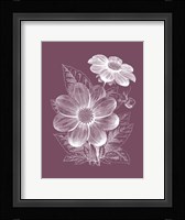 Dahlias Purple Flower Framed Print
