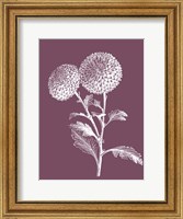 Quilled Pompone Purple Flower Fine Art Print