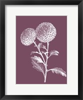 Quilled Pompone Purple Flower Framed Print