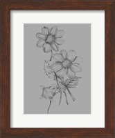 Flower Sketch Fine Art Print