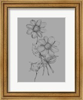 Flower Sketch Fine Art Print