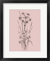 Blush Pink Flower Sketch I Fine Art Print