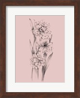 Blush Pink Flower Sketch III Fine Art Print