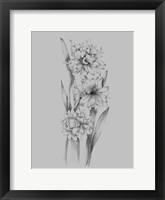 Flower Sketch III Fine Art Print