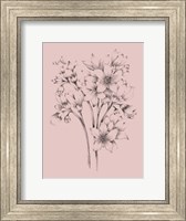 Blush Pink Flower Drawing Fine Art Print