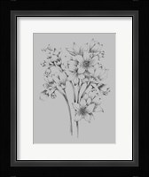 Flower Drawing Framed Print