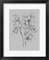Flower Drawing Framed Print