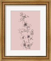 Blush Pink Flower Drawing I Fine Art Print
