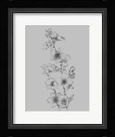 Flower Drawing I Framed Print