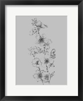 Flower Drawing I Framed Print
