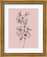Blush Pink Flower Drawing II Fine Art Print