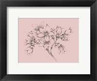 Blush Pink Flower Illustration Fine Art Print