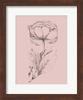 Blush Pink Flower Illustration II Fine Art Print