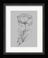 Flower Illustration I Framed Print