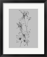 Grey Flower Sketch Fine Art Print