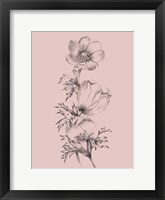 Blush Pink Flower II Fine Art Print