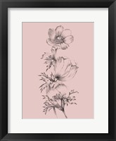 Blush Pink Flower II Framed Print