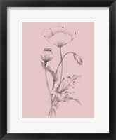 Blush Pink Flower III Framed Print
