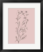 Pink Flower Sketch Illustration Fine Art Print