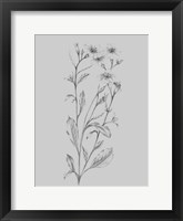 Grey Flower Sketch Illustration Fine Art Print