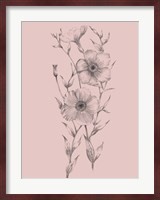 Pink Flower Sketch Illustration I Fine Art Print