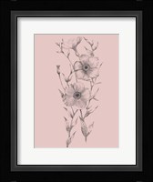 Pink Flower Sketch Illustration I Framed Print