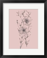 Pink Flower Sketch Illustration I Fine Art Print