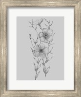 Grey Flower Sketch Illustration I Fine Art Print